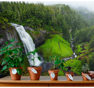 Papel mural naturaleza cascada verde frondosa - TenVinilo