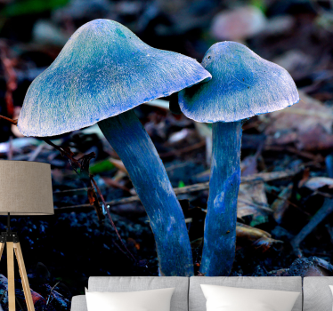 Papel mural naturaleza formas de hongos únicas - TenVinilo