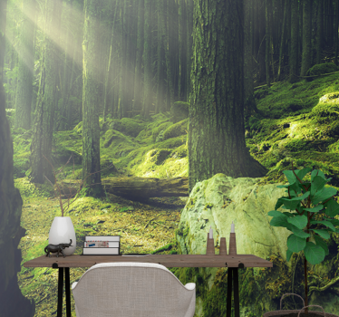 Papel mural naturaleza luz del sol entre árboles - TenVinilo