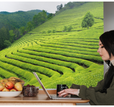 Papel mural naturaleza paisaje de plantación de té - TenVinilo