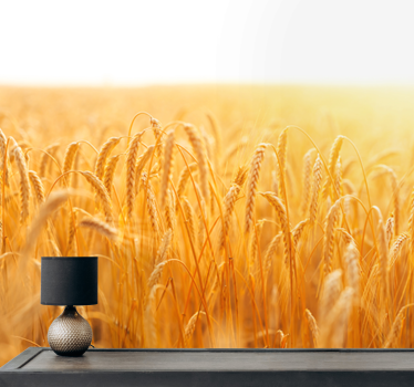Papel mural naturaleza pradera de grano dorado - TenVinilo