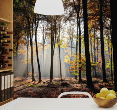 Papel mural naturaleza rayos del bosque en otoño - TenVinilo