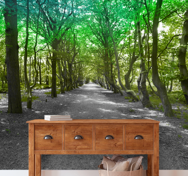 Papel mural naturaleza sendero de árboles frondosos - TenVinilo