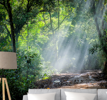 Papel mural naturaleza sendero luminoso del bosque - TenVinilo
