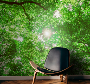 Papel mural naturaleza vista de dosel de árboles - TenVinilo