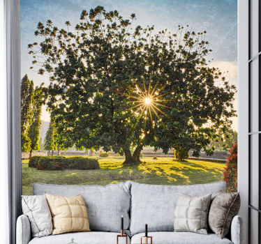 Papel mural naturaleza vista del árbol soleado - TenVinilo