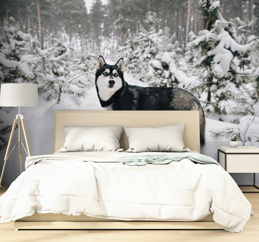 Papel mural paisaje de invierno y Husky - TenVinilo