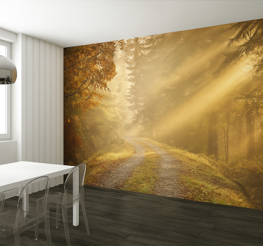 Papel mural selva bosque húmedo con luz solar - TenVinilo