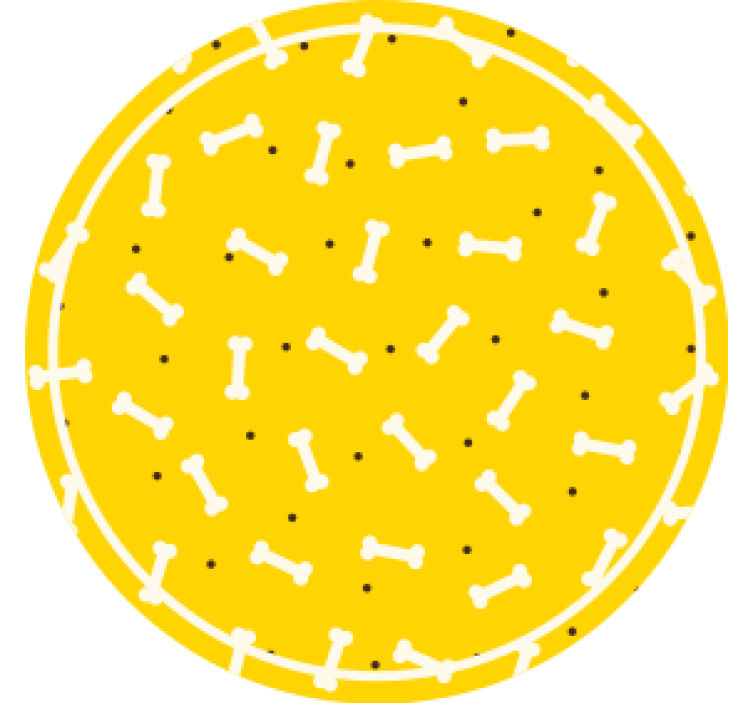 Posavasos frikis patrón de huesos redondo - TenVinilo