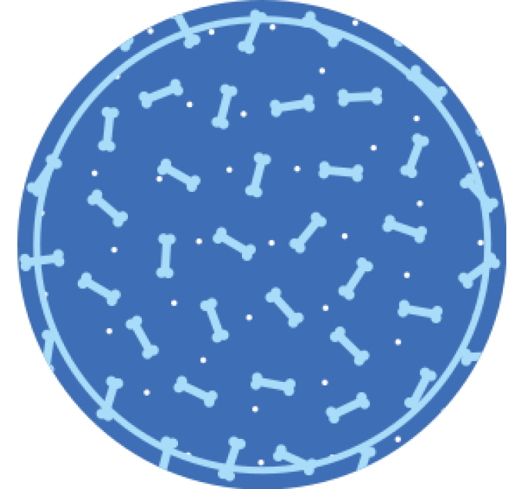 Posavasos patrón de hueso circular - TenVinilo