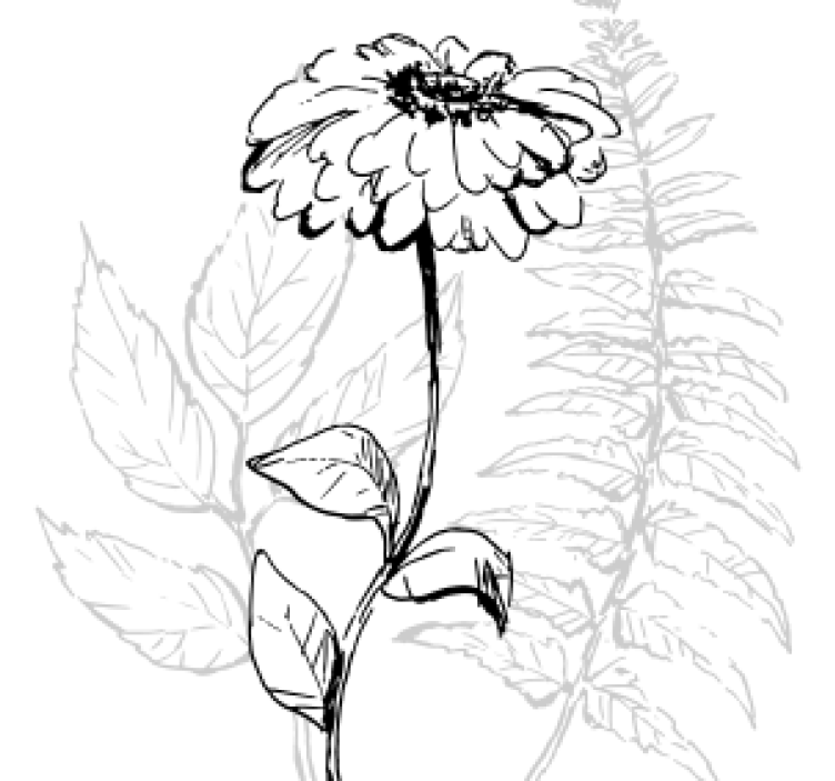 Posavasos arte lineal botánico - TenVinilo