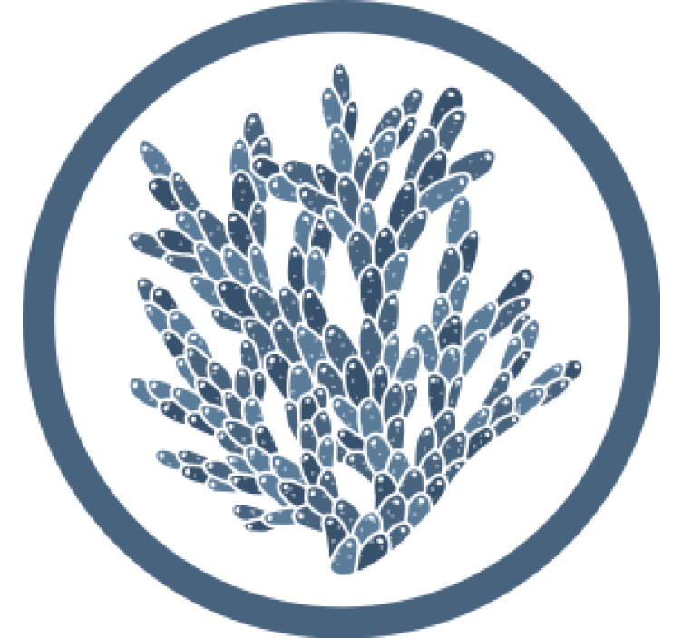 Posavasos patrón coral abstracto - TenVinilo