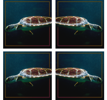 Posavasos negro de animales de tortuga - TenVinilo