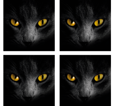 Posavasos de Halloween gato negro - TenVinilo