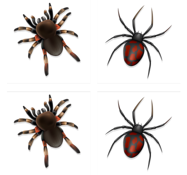 Posavasos halloween colección araña espeluznante - TenVinilo