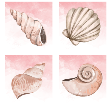 Posavasos moderno conchas marinas con toque rosa - TenVinilo