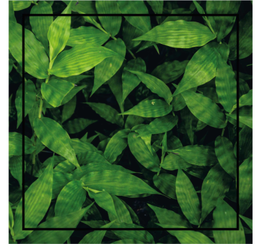 Posavasos patrón de hojas verdes lujosas - TenVinilo