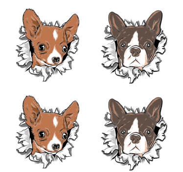 Posavasos frikis caras de chihuahua y bulldog - TenVinilo