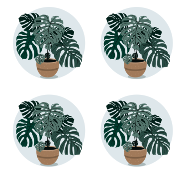 Posavasos moderno ilustración de planta monstera - TenVinilo