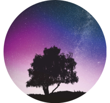 Posavasos moderno Árbol de noche estrellada - TenVinilo