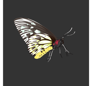 Posavasos frikis arte de mariposas coloridas - TenVinilo
