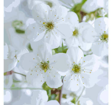 Posavasos flores de cerezo delicadas - TenVinilo