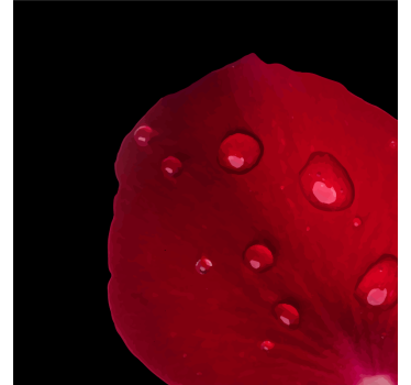 Posavasos pétalo de rosa humedecido - TenVinilo