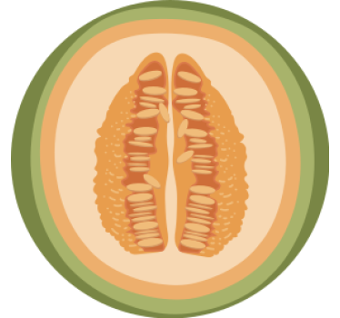 Posavasos frikis con motivos de rodajas de fruta - TenVinilo