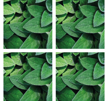 Posavasos motivo de hojas verdes vibrantes - TenVinilo