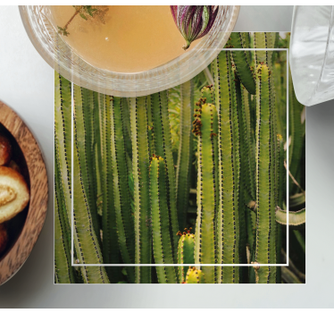Posavasos superficie textura cactus - TenVinilo