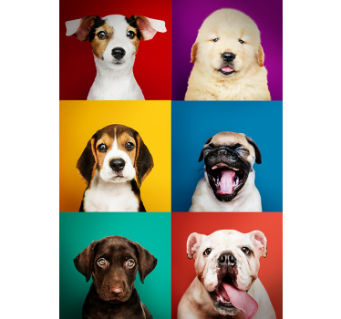 Póster moderno cachorros retro - TenVinilo