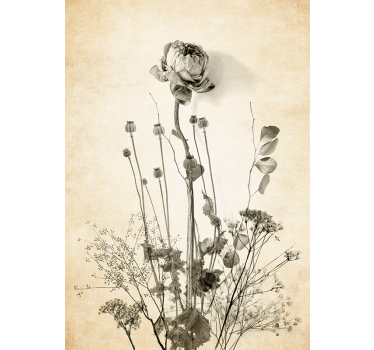 Poster ramo de flores sobre fondo beige - TenVinilo