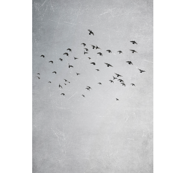 Poster imagen pájaros volando - TenVinilo