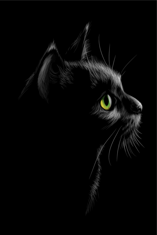 Poster salón gatos de ojos verdes - TenVinilo