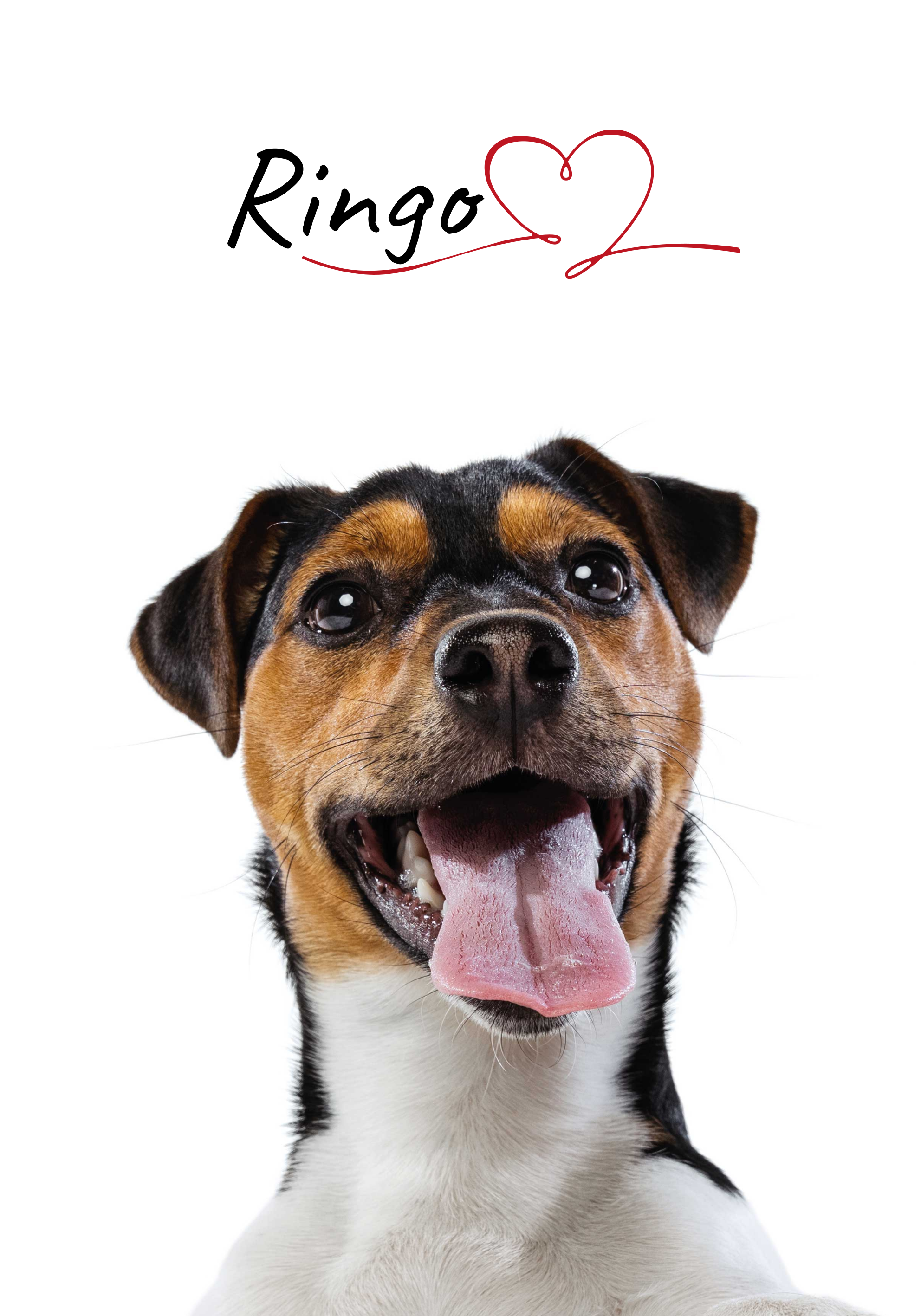 Poster amor personalizado de perro - TenVinilo