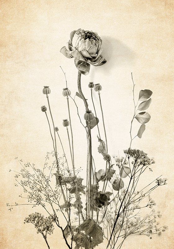 Poster ramo de flores sobre fondo beige - TenVinilo