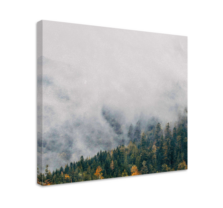 Cuadro paisajes Bosque con niebla desde arriba - TenVinilo