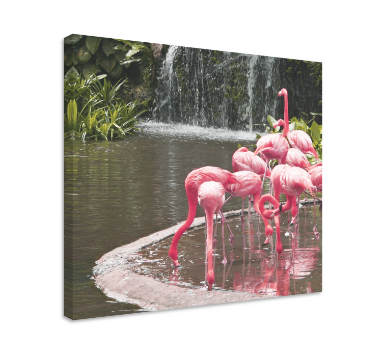 Cuadro de perro flamingos en la piscina - TenVinilo