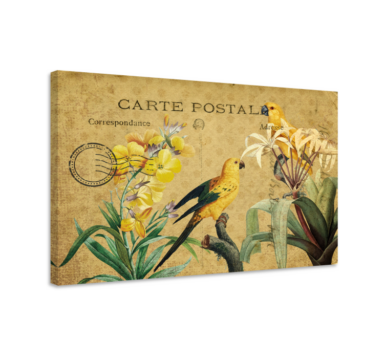 Cuadro elegante postales de aves vintage - TenVinilo
