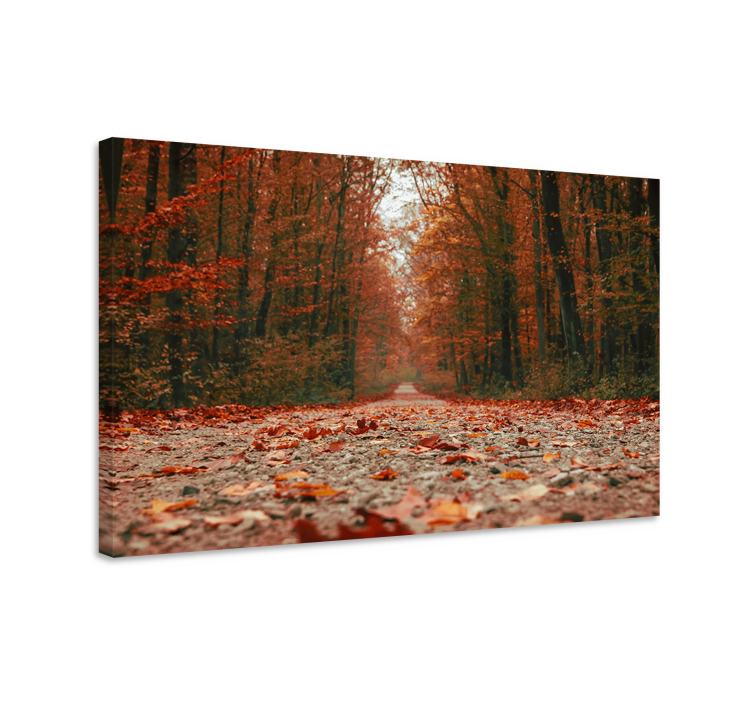 Cuadro paisajes Hermosas hojas de otoño coloridas - TenVinilo