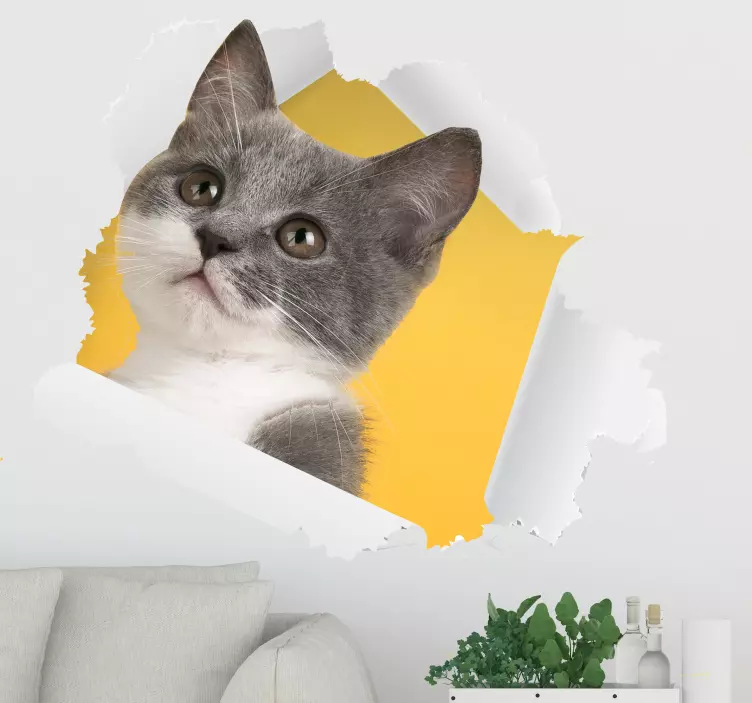 Vinilo pared de gato efecto visual 3D - TenVinilo