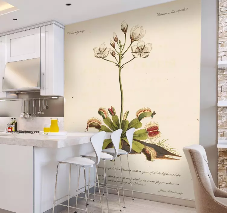 Vinilo para comedor antigua botánica - TenVinilo