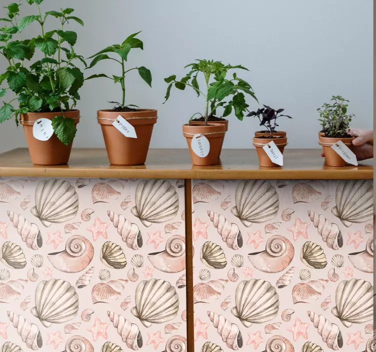 Vinilo para mueble Muebles de conchas marinas - TenVinilo