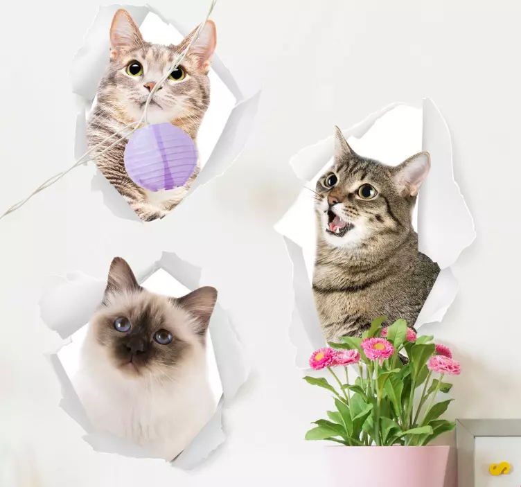 Vinilo para pared de gatitos 3D - TenVinilo