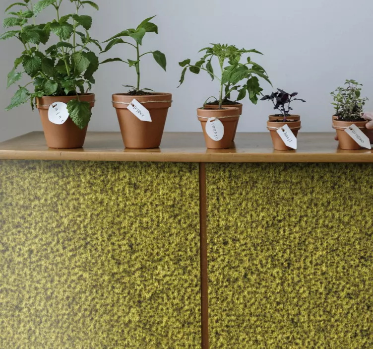 Vinilo planta colección de hierbas en macetas - TenVinilo