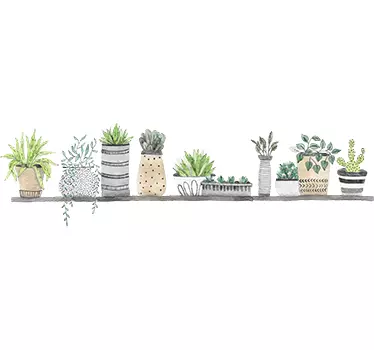 Vinilo decorativo salón estantería plantas - TenVinilo
