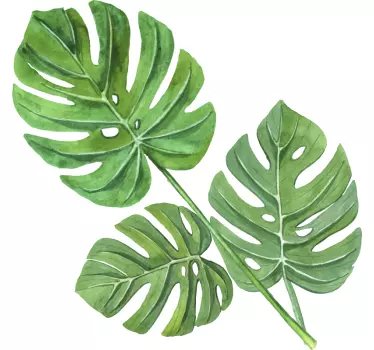 Vinilo para pared living de planta hojas de acuarela monstera - TenVinilo