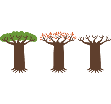 Vinilo decorativo árbol caducifolio - TenVinilo