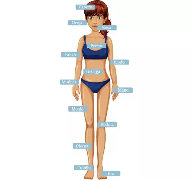 Vinilo infantil anatomía humana partes del cuerpo - TenVinilo