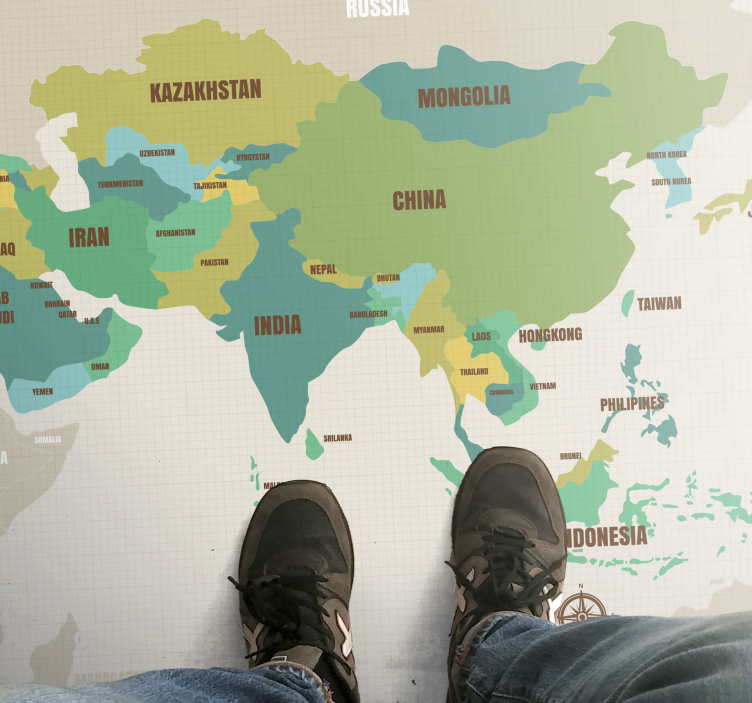 Alfombra vinílica mapamundi decoración cartográfica - TenVinilo